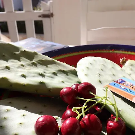 Casa Black Magic 아파트